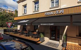 Penzion U Cejpu